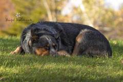 fb_img_1477272759779