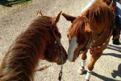 img_20160330_145529708-320x180